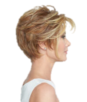 Go to Style - Wig by Raquel Welch - VIP Extensions