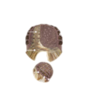 Go to Style - Wig by Raquel Welch - VIP Extensions