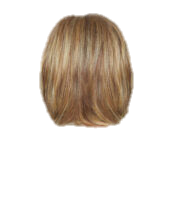 ON IN 10! - Wig by Raquel Welch - VIP Extensions