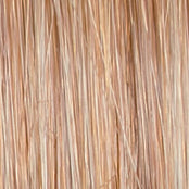 Go to Style - Wig by Raquel Welch - VIP Extensions