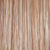 Go to Style - Wig by Raquel Welch - VIP Extensions