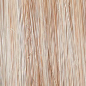 Go to Style - Wig by Raquel Welch - VIP Extensions