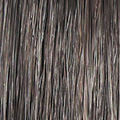 Go to Style - Wig by Raquel Welch - VIP Extensions