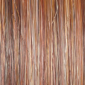 Go to Style - Wig by Raquel Welch - VIP Extensions