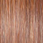 Go to Style - Wig by Raquel Welch - VIP Extensions