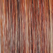 Go to Style - Wig by Raquel Welch - VIP Extensions