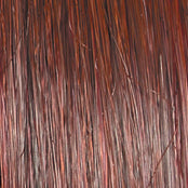 Go to Style - Wig by Raquel Welch - VIP Extensions