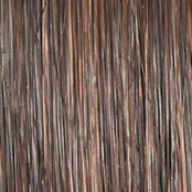 ON IN 10! - Wig by Raquel Welch - VIP Extensions