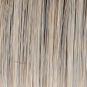 ON IN 10! - Wig by Raquel Welch - VIP Extensions