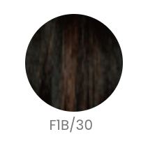 R&B Collection HL-Brown Wig - VIP Extensions