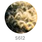 R&B Collection RL-South Wig - VIP Extensions