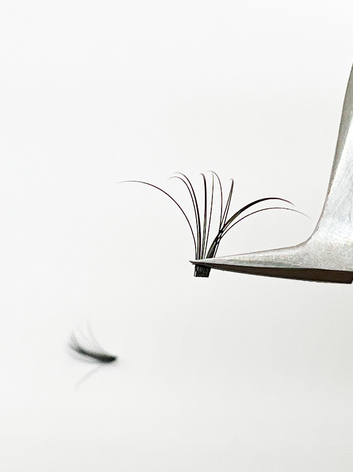 Vip Quick Fan Lashes DD 05 & DD 07 - CC 05 & CC 07 - VIP Extensions