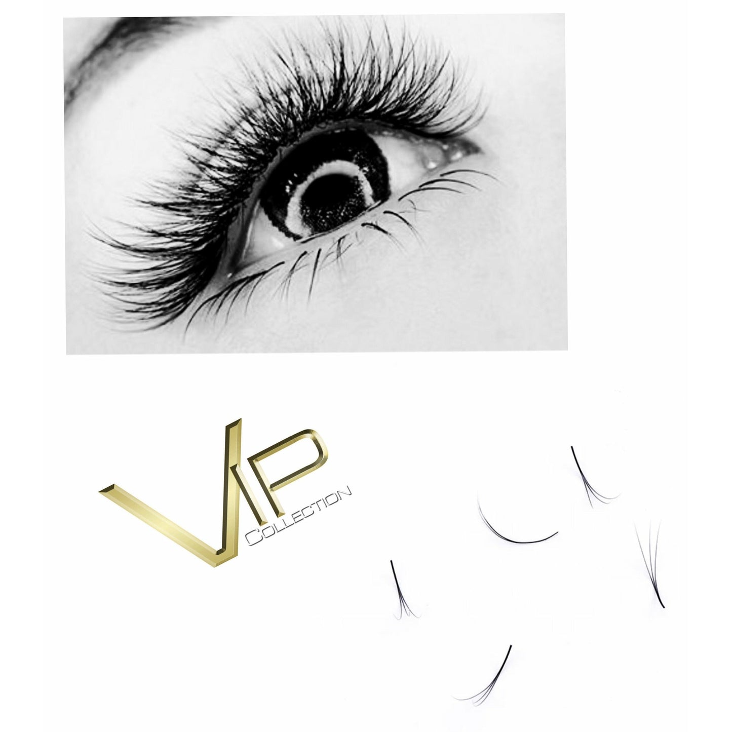 VIP Eyelashes -Pre Fanned Lash Extrensions 12 Lines  3D
