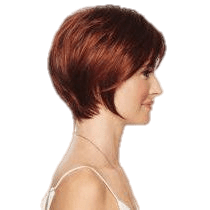 CONTEMPO CUT wig by Eva Gabor - VIP Extensions