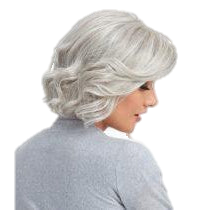 FLIRT ALERT - wig By Raquel Welch - VIP Extensions