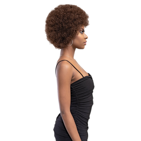 Femi Collection Afro Wig - VIP Extensions
