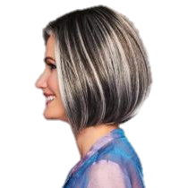 High Society Wig by Gabor - VIP Extensions