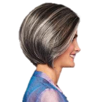 High Society Wig by Gabor - VIP Extensions