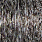 CRUSHING ON CASUAL -  ELITE  - Wig by Raquel Welch - VIP Extensions