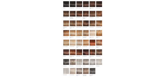 CELEBRITY -  Wig by Raquel Welch - - VIP Extensions