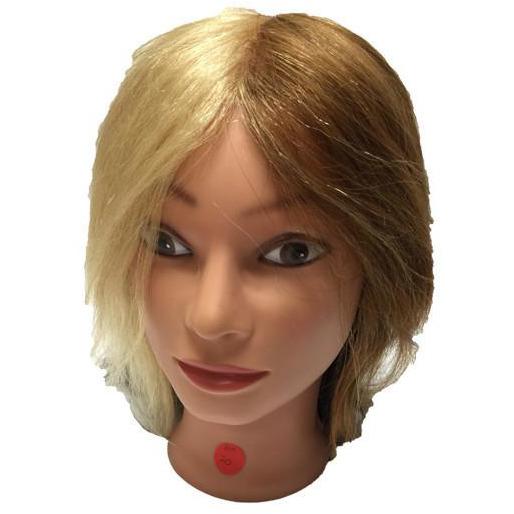 Practice Mannequin Head / Female Quad Color - BeautyGiant USA